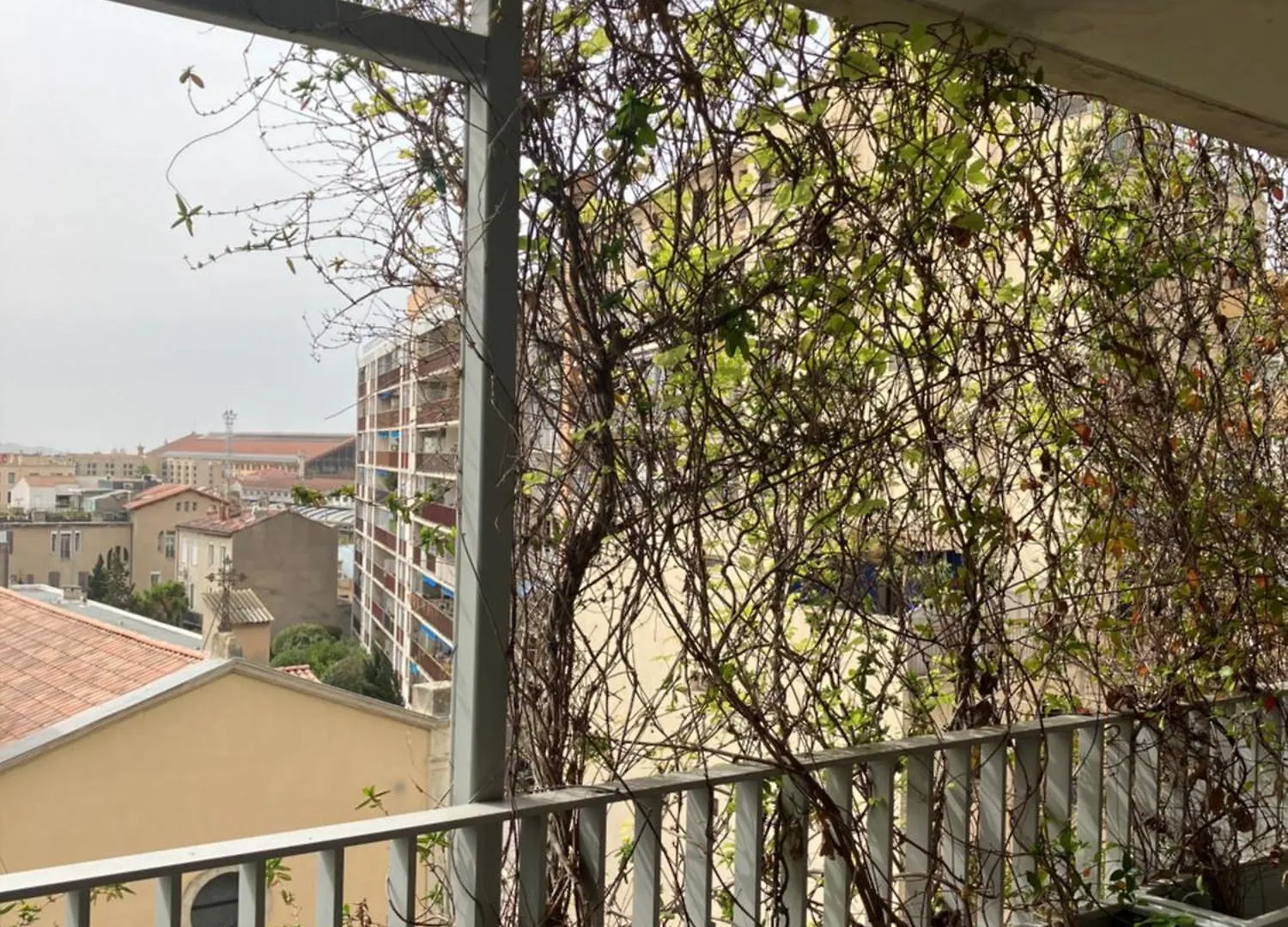 Apartment Marseille Super Appartement Longchamp